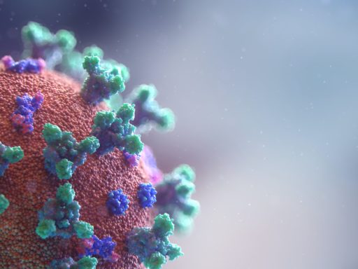 Visualisation of Covid-19 virus