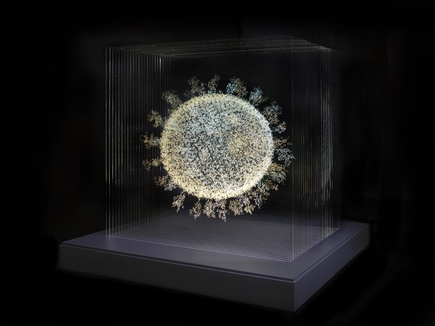COVID-19アート作品 COVID-19: Pandemic Art with Angela Palmer and David Goodsell
